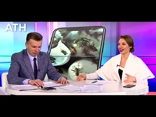 porn японец мечтал о сексе с самкой таракана hd
