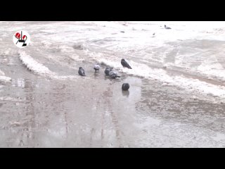 porn началось голая купалась в водопаде real video hd
