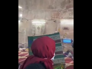 porn момент нападения армии обороны израиля на молящихся в мечети аль акса иерусалим hd