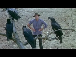 porn адриано челентано adriano celentano разговаривает с воронами это тебе не люди с ними можно договориться hd
