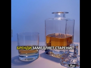 porn полезные свойства алкоголя водка коньяк виски бренди ром hd