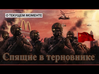 porn спящие в терновнике о текущем моменте hd