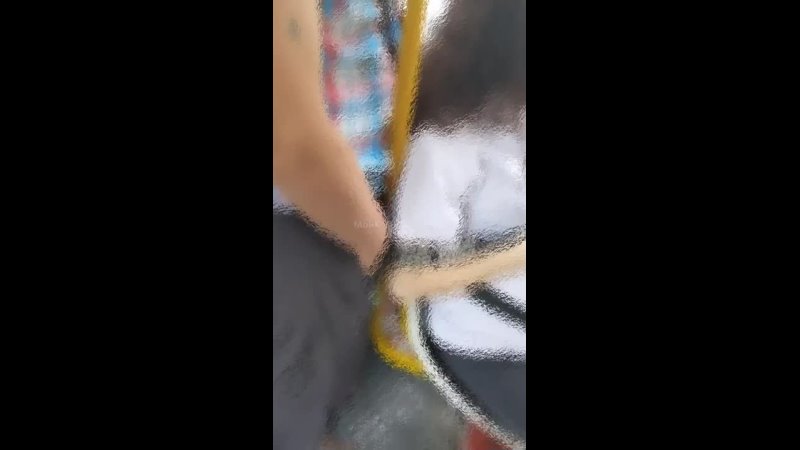 porn видео с онанистом в общественном транспорте напугало жительниц ставрополья hd