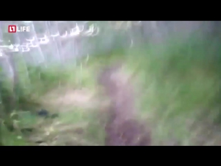 porn в амурской области охотник пытался поймать медведей голыми руками hd