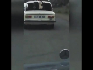 porn что бы телка дала нужно ее покатать по городу только потом к себе домой и там уже ждать продолжения hd