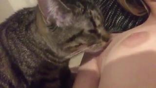 porn киса лижет киску 18 кошечка сосочки титьки влажная hd