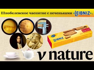 porn шнобелевское чаепитие с печеньками лейбниц hd