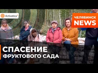 porn под челябинском активисты установили контроль над вырубками hd