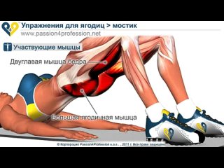 porn прокачиваем попу тренируем ягодичные мышцы hd