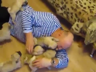 porn pug puppy hd