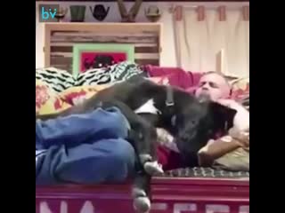 porn отец нет мы не будем заводить молодые семья заводит секс hd