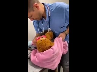 porn детёныш коалы не хочет расставаться со своим любимым плюшевым медвежонком даже во время взвешивания hd