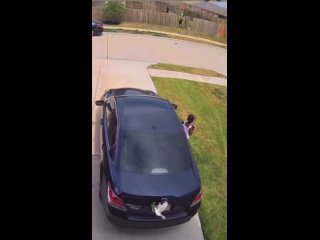 porn чел дал своему 18 летнему брату катнуть на его мотоцикле вот что вышло hd