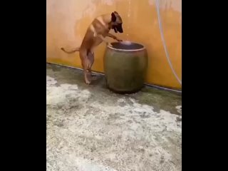 porn он уже совсем не знает как спрятаться от жары hd