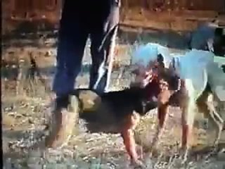 porn собачьи бои американский бульдог рокки 15 мес vs питбуль 2 18 года ч 2 hd