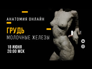 porn грудь молочные железы образовательный прямой эфир hd