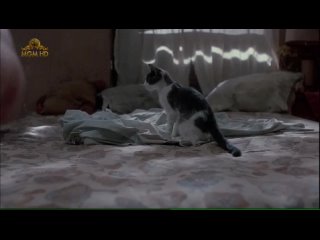 porn голая келли линч kelly lynch теплый летний дождь warm summer rain 1989 hd