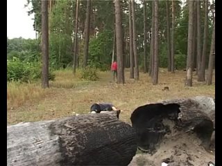 porn раскидал алкашей романтика жесть ржака постмодернизм угар порно троль сиськи член жопаминет контркультура миньет hd