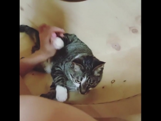 porn 高颜值性感美女洗澡都这么骚气故意挑逗把下面洗干净然后大震动器加肉棒把骚穴搞的淫水泛滥叫的诱人完整版 waveya ari on instagram 070716 hd