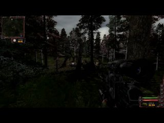 porn прикольная аномалия в лесу сталкера hd
