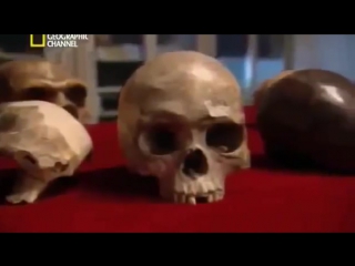 porn 18 история секса каков был секс древности документальный фильм national geographic hd