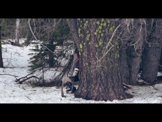 porn голая джемма донато gemma donato в фильме спящая красавица sleeping beauty 2014 рене перез hd