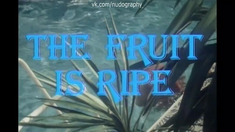 porn бетти верже betty vergès в бассейне в фильме греческая смоковница griechische feigen the fruit is ripe 1977 hd