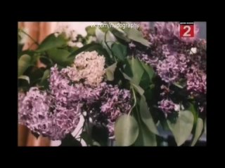 porn лесбийские поцелуи екатерины стриженовой и веры сотниковой в фильме захочу полюблю 1990 василий панин hd