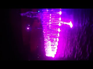 porn ocean park в гонконге вечернее представление для гостей парка hd