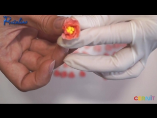 porn цветочный комплект полимерная глина мастер класс polymer clay tutorial hd