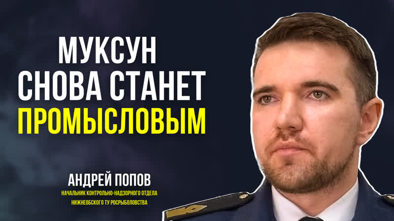 porn росрыболовство усиливает программу восполнения ямальского муксуна нельмы и чира hd