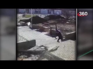 porn налетел на цепь и свернул себе шею охота на электросамокатчиков объявлена в екатеринбурге hd