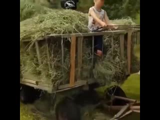 porn неплохой прибор ytgkjjq ghbjh hd