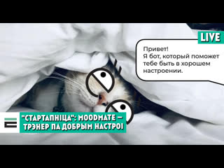 porn стартапніца moodmate персанальны трэнер па добрым настроі hd