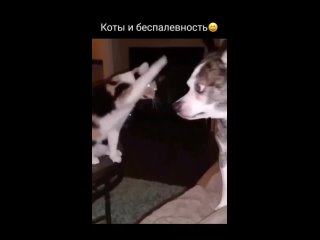 porn видео от подсмотрено и подслушано парковый пермь hd