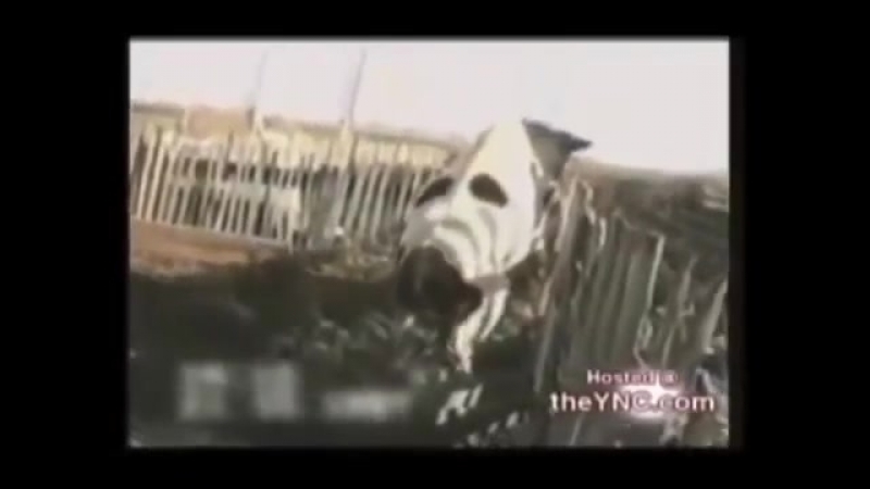 porn сексуальное нападение молодые на людей hd