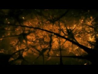 porn как происходит зачатие ребенка фантастическое видео hd