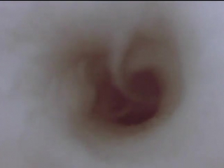 porn тело человека 4 фильм период полового созревания 1998 г hd