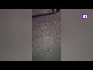 porn growing vid 20220805 004731 637 mp4 hd