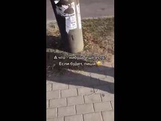 porn тиктокерша показала что можно продать своё нижнее бельё фетишисту hd
