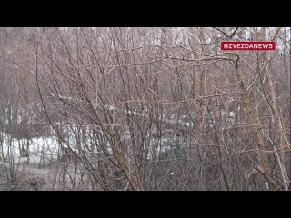 porn т 80 разгромили бронетехнику националистов в зоне сво hd