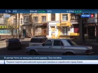 porn рухнувшее из за сильного ветра дерево молодые женщину в чите hd