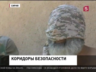 porn в провинции алеппо террористы применили химическое оружие hd