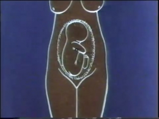 porn исследования беременной в третьем триместре study pregnant hd