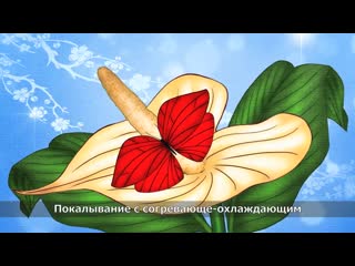 porn секрет шикарного минета блеск для губ для оральных ласк shunga oral pleasure gloss hd