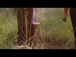 porn настоящая девчонка une vraie jeune fille 1976 hd