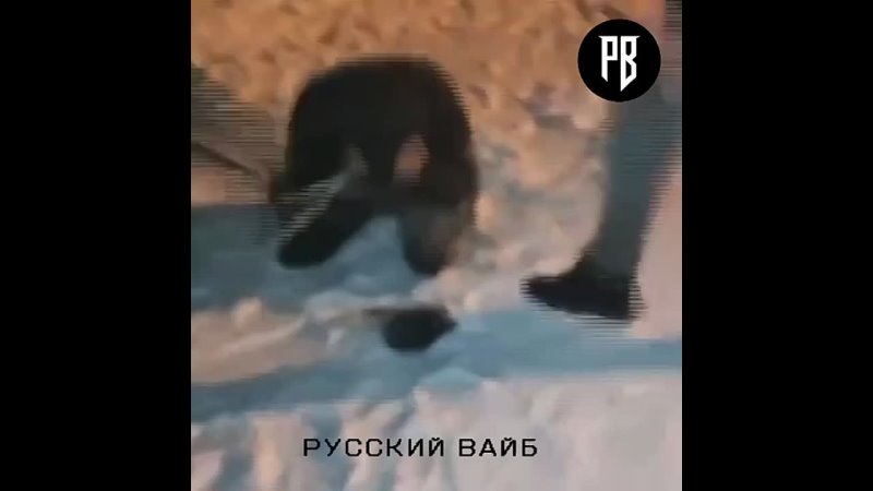 porn полиция поймала спортиков которые издевались над закладчиками hd