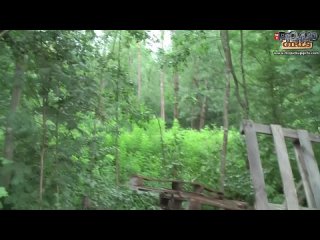 porn эрик и его друг трахают в жопу алику hd