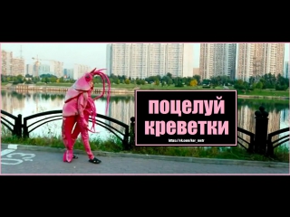 porn поцелуй креветки короткометражный фильм короткий метр hd