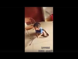 porn маленький мальчик из китая беспечно играет со змеёй hd